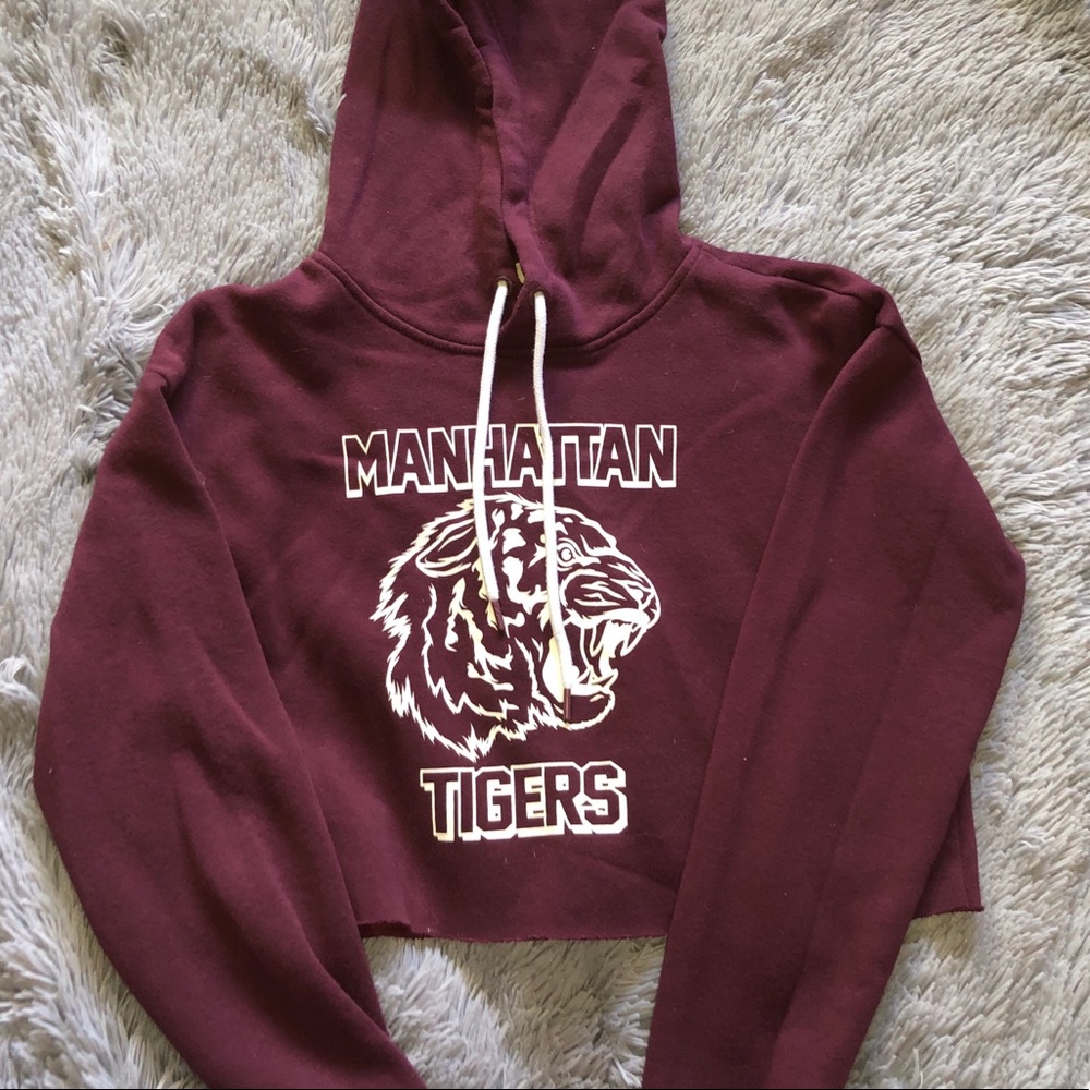 Maroon Cropped Hoodie